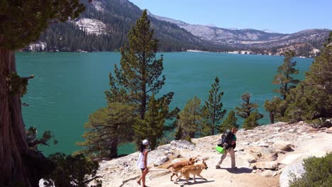 A-group-of-hikers-and-dogs-walk-in-the-Desolation-Wilderness-of-the-Sierra-Nevada-mountains