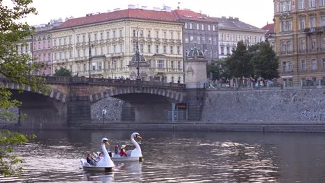 Swan-themed-paddleboats-move-on-the-Vltava-River-in-Prague-Czech-Republic