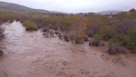 Pan-across-flood-waters-moving-fast-down-the-Ventura-River-near-Ojai-California-with-storm-runoff-during-winter-weather-flooding