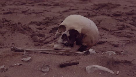 Skelettreste-Des-Menschlichen-Skeletts-Liegen-In-Den-Sanddünen-Entlang-Eines-Abgelegenen-Teils-Der-Skelettküste-Atlantik-Namibia-Afrika
