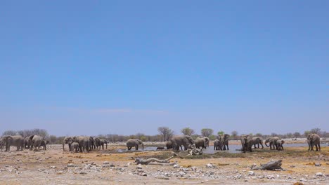 Eine-Große-Gruppe-Afrikanischer-Elefanten-Badet-Und-Spritzt-Spielerisch-An-Einer-Wasserstelle-Im-Etosha-Nationalpark-Namibia-Africa