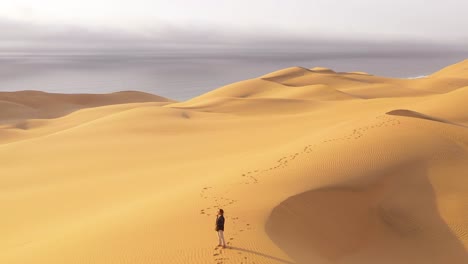 Antena-Sobre-Una-Mujer-Modelo-De-Mujer-De-Pie-Sobre-Las-Hermosas-Dunas-De-Arena-Del-Desierto-De-Namib-En-Namibia-Con-El-Fondo-De-La-Costa-De-Los-Esqueletos