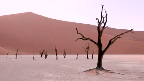Amazing-dead-trees-silhouetted-at-dawn-at-Deadvlei-and-Sossusvlei-in-Namib-Naukluft-National-Park-Namib-desert-Namibia-3