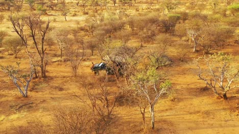 Excellent-aerial-of-a-safari-jeep-traveling-on-the-plains-of-Africa-at-Erindi-Game-Preserve-Namibia-with-native-San-tribal-spotter-guide-sitting-on-front-spotting-wildlife