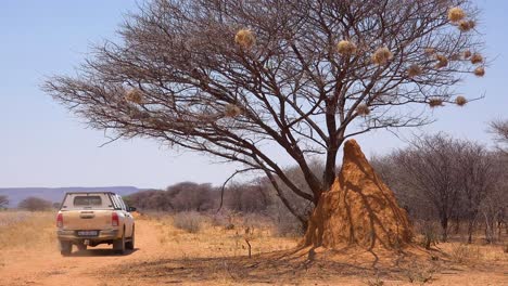 A-toyota-Hi-Lux-safari-vehicle-passes-a-tall-termite-mound-on-safari-in-Namibia