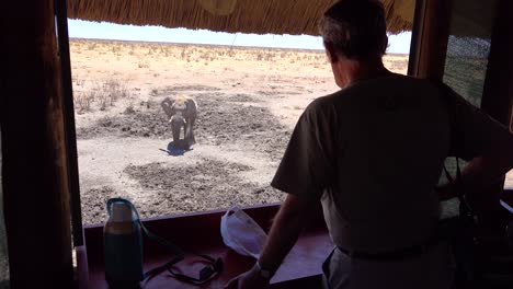 Los-Turistas-Miran-Por-Una-Persiana-En-Un-Parque-De-Juegos-De-Safari-De-Vida-Silvestre-En-Un-Elefante-En-Un-Abrevadero-En-Namibia