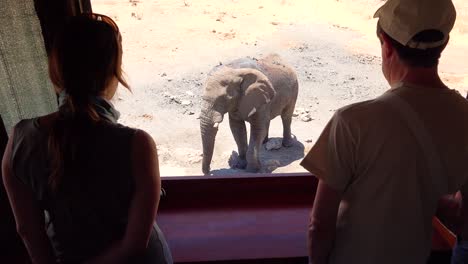 Los-Turistas-Miran-Por-Una-Persiana-En-Un-Parque-De-Juegos-De-Safari-De-Vida-Silvestre-En-Un-Elefante-En-Un-Abrevadero-En-Namibia-1