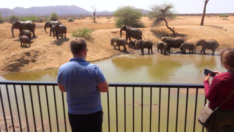 Touristen-Fotografieren-Elefanten,-Die-An-Einer-Wasserstelle-Baden,-Von-Einem-Hotelbalkon-Im-Erindi-Game-Reserve-Namibia