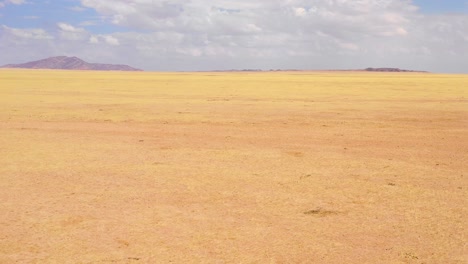 Fast-moving-aerial-over-the-vast-grasslands-bush-and-savannah-of-Namibia-Africa