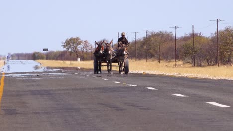 A-donkey-cart-moves-along-a-paved-road-in-the-Namibia-desert-with-heat-rising