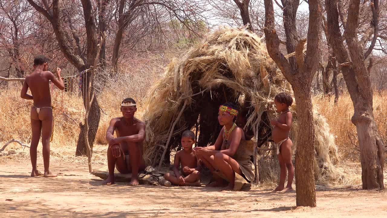 African San Tribal Bushmen Family At Their Huts In A Small Primitive  Village In Namibia Africa Free Stock Video Footage Download Clips Culture