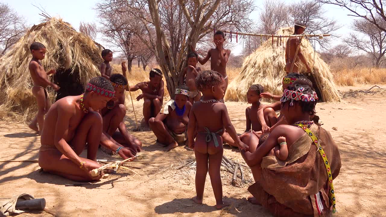 African San Tribal Bushmen Family At Their Huts In A Small Primitive Village  In Namibia Africa 1 Free Stock Video Footage Download Clips Culture