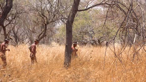 San-tribal-bushman-hunters-in-Namibia-Africa-walk-quiety-sniff-the-air-and-sample-the-soil-for-wind-direction-hunting-for-prey-1