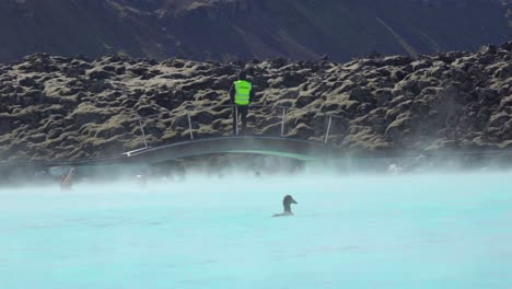 A-duck-swims-in-the-famous-Blue-Lagoon-geothermal-hot-water-spa-and-bath-in-Grindavik-Iceland