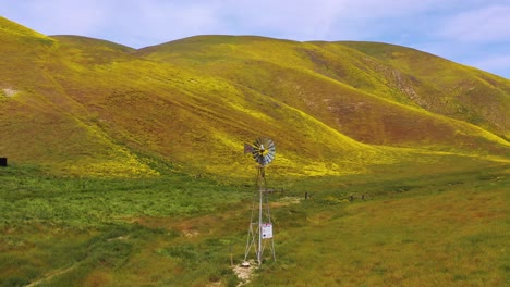 Aerial-of-a-windmill-blowing-on-a-California-hillside-covered-with-wildflowers-during-superbloom