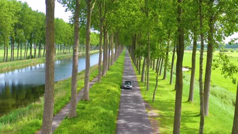 Aerial-through-treetops-of-a-car-driving-along-a-canal-in-Belgium-Holland-Netherlands-or-Europe