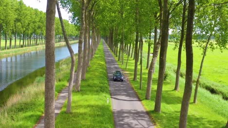 Aerial-through-treetops-of-a-car-driving-along-a-canal-in-Belgium-Holland-Netherlands-or-Europe-2