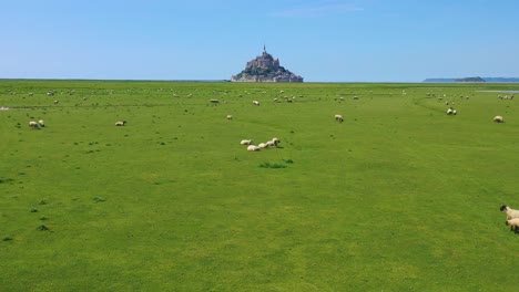 Schöne-Tagesluft-über-Felder-Von-Schafen-Und-Farmgras-Mit-Dem-Kloster-Mont-Saint-Michel-Im-Hintergrund-Der-Normandie-Frankreich