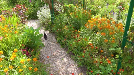 Blumen-Wachsen-Im-Garten-Von-Claude-Monet-In-Giverny-Frankreich-2