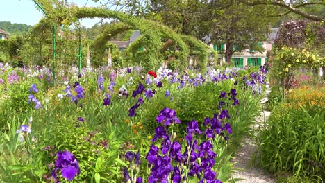 Flowers-grow-in-the-garden-of-Claude-Monet-in-Giverny-France-3