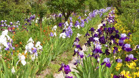 Blumen-Wachsen-Im-Garten-Von-Claude-Monet-In-Giverny-Frankreich-4
