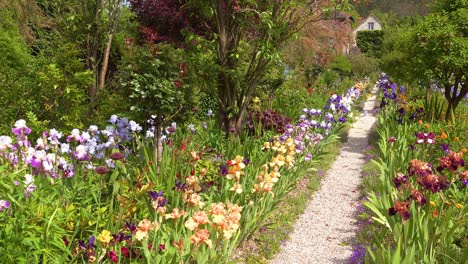Flowers-grow-in-the-garden-of-Claude-Monet-in-Giverny-France-5