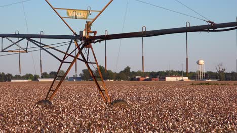 Ein-Wasserbewässerungssystem-Aus-Baumwolle,-Das-In-Einem-Feld-In-Der-Mississippi-Deltaregion-Mit-Kleiner-Stadt-Entfernt-Wächst