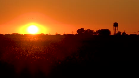 Sunset-over-cotton-fields-in-small-Mississippi-southern-town-with-migrating-birds-flying-and-water-tower