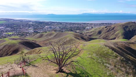 2020---aerial-over-the-pacific-coastal-green-hills-and-mountains-behind-Ventura-California-including-Two-Trees-landmark-3