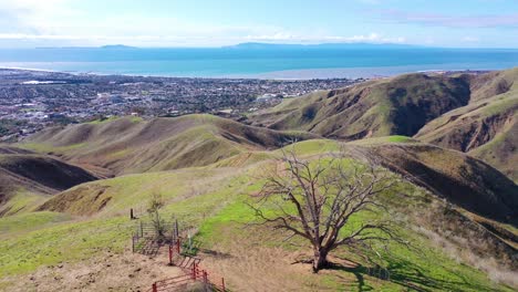 2020---aerial-over-the-pacific-coastal-green-hills-and-mountains-behind-Ventura-California-including-Two-Trees-landmark-5