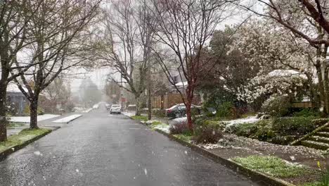 La-Intensa-Nieve-Del-Invierno-Cae-En-Un-Barrio-Tradicional-Americano-En-Portland,-Oregón-2