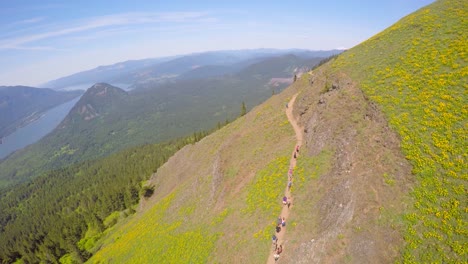 A-beautiful-aerial-view-along-a-hiking-trail-in-the-Pacific-Northwest-with-the-Columbia-River-distant