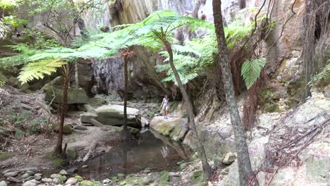A-woman-walks-in-a-deep-gorge-in-Carnarvan-National-Park-Queensland-Australia-1