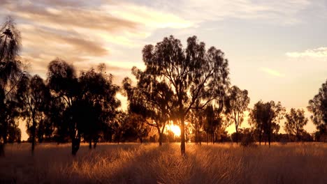 Ein-Wunderschöner-Sonnenuntergang-Oder-Sonnenaufgang-Im-Australischen-Busch-Oder-Outback