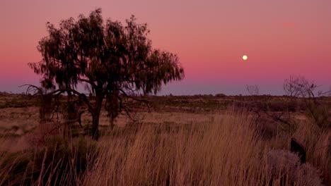 Schöner-Sonnenuntergang-Oder-Sonnenaufgang-Im-Australischen-Outback-Oder-Busch
