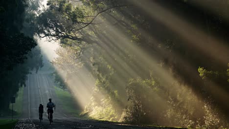 Sun-rays-shine-down-beautifully-onto-a-highway-or-road-as-bicycles-pass