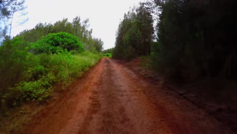 Pov-Erschossen-Fahren-Auf-Einer-Roten-Unbefestigten-Straße-Auf-Der-Insel-Lanai-In-Hawaii-1