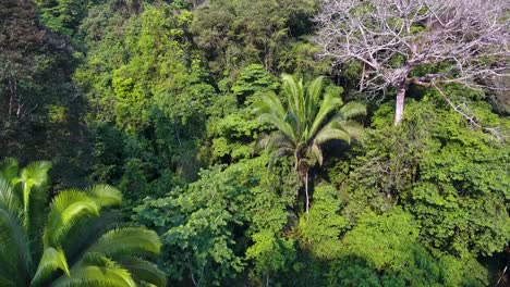 Aerial-of-the-limestone-hills-near-Candeleria-Guatemala-2