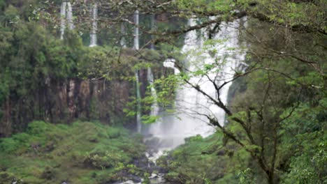 Weichzeichnerbäume-Und-Tropische-Wasserfälle