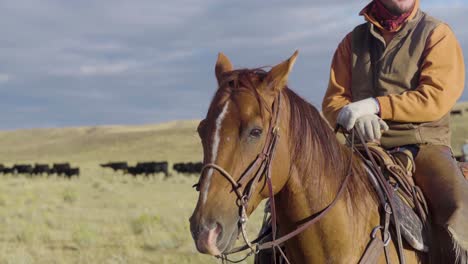 Anonymer-Cowboy-Zu-Pferd-Am-Frühen-Morgen-Razzia-Einer-Rinderherde-In-Montana