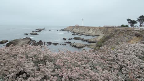 Beautiful-dolly-shot-of-wildflowers-and-wave-breaking-on-the-shore-below-the-historic-Point-Arena-Lighthouse-California-1