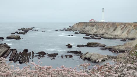 Wunderschöner-Dolly-Schuss-Von-Wildblumen-Und-Wellen-Am-Ufer-Unterhalb-Des-Historischen-Point-Arena-Lighthouse-California-3