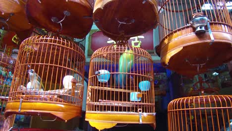Birds-in-wooden-cages-are-offered-for-sale-in-a-Hong-Kong-China-pet-market-1