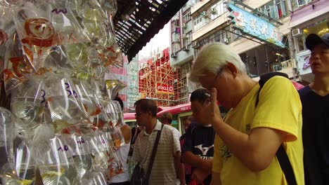 Exotic-fish-are-offered-for-sale-in-plastic-bags-on-a-wall-in-a-market-shop-in-Hong-Kong-China-2