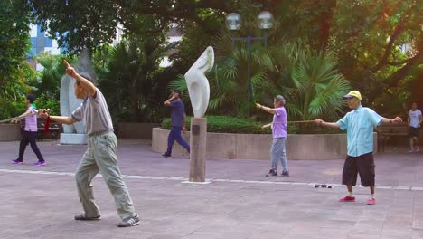 Chinese-seniors-practice-tai-chi-in-a-park-in-the-early-morning-in-Hong-Kong-China-4