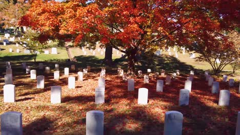Slow-Moving-Shot-Along-Grave-Sites-In-Arlington-National-Cemetery-Washington-Dc-With-Fall-Colors