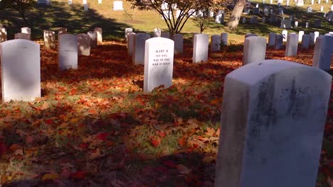 Slow-Moving-Pan-Beside-Grave-Sites-In-Arlington-National-Cemetery-Washington-Dc-With-Fall-Colors