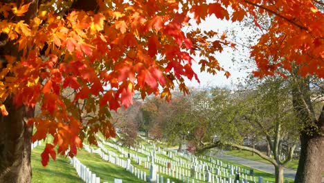 Slow-Moving-Tilt-Down-Beside-Grave-Sites-In-Arlington-National-Cemetery-Washington-Dc-With-Fall-Colors