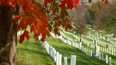 Einrichtung-Von-Grabstätten-Auf-Dem-Arlington-National-Cemetery-Washington-DC-Mit-Herbstfarben