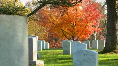 Einrichtung-Von-Grabstätten-In-Arlington-National-Cemetery-Washington-DC-Mit-Herbstfarben-1